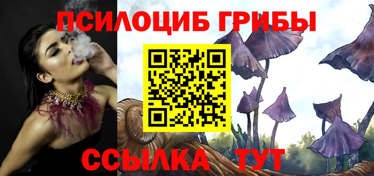 где купить наркотик  Вход с VPN  Галлюциногенные грибы прущие грибы  Белебей  Галлюциногенные грибы MAGIC MUSHROOMS 